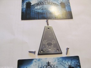 Truss rod cover Jackson Style