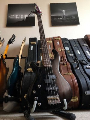 Aria Pro 2 RSB The Cat PJ Bass LH Lefty Left Handed Левичарски + кейс