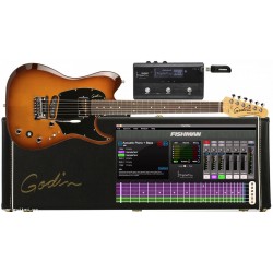 Godin Session TriplePlay MIDI guitar controller + case + Fishman FC-1 & transmitter + software