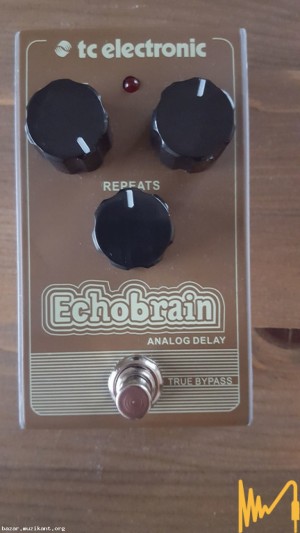 Tc electronic echobrain analogue delay