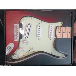 Roswell Stratocaster H-S-S Alnico 5 Pickguard