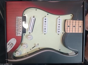 Roswell Stratocaster H-S-S Alnico 5 Pickguard