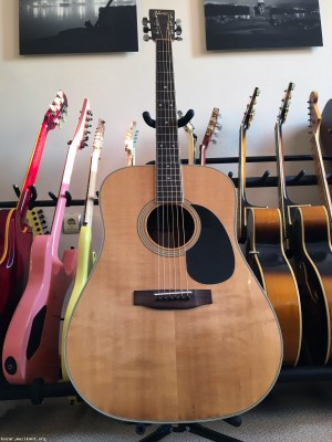 1991 Vesta Graham VD50 + Кейс