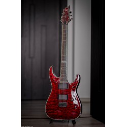 ESP LTD H-1000QM