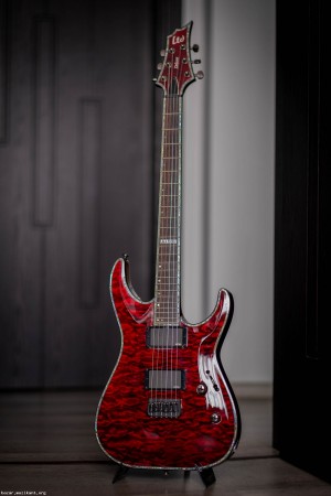 ESP LTD H-1000QM