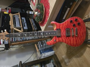 PRS SE McCarty 594, Quilt Limited Edition