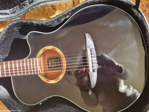 YAMAHA XTN 700-ЕЛ.АКУСТИЧНА КИТАРА,С НАИЛОНОВИ СТРУНИ