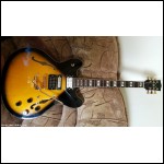 Aston Sedona 335 Style-Semi-Hollow Electric Guitar, китара Астон полуакустична