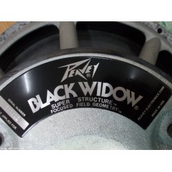 "PEAVEY" "BLACK WIDOW" 15" USA