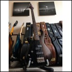Aria Pro 2 RSB The Cat PJ Bass LH Lefty Left Handed Левичарски + кейс